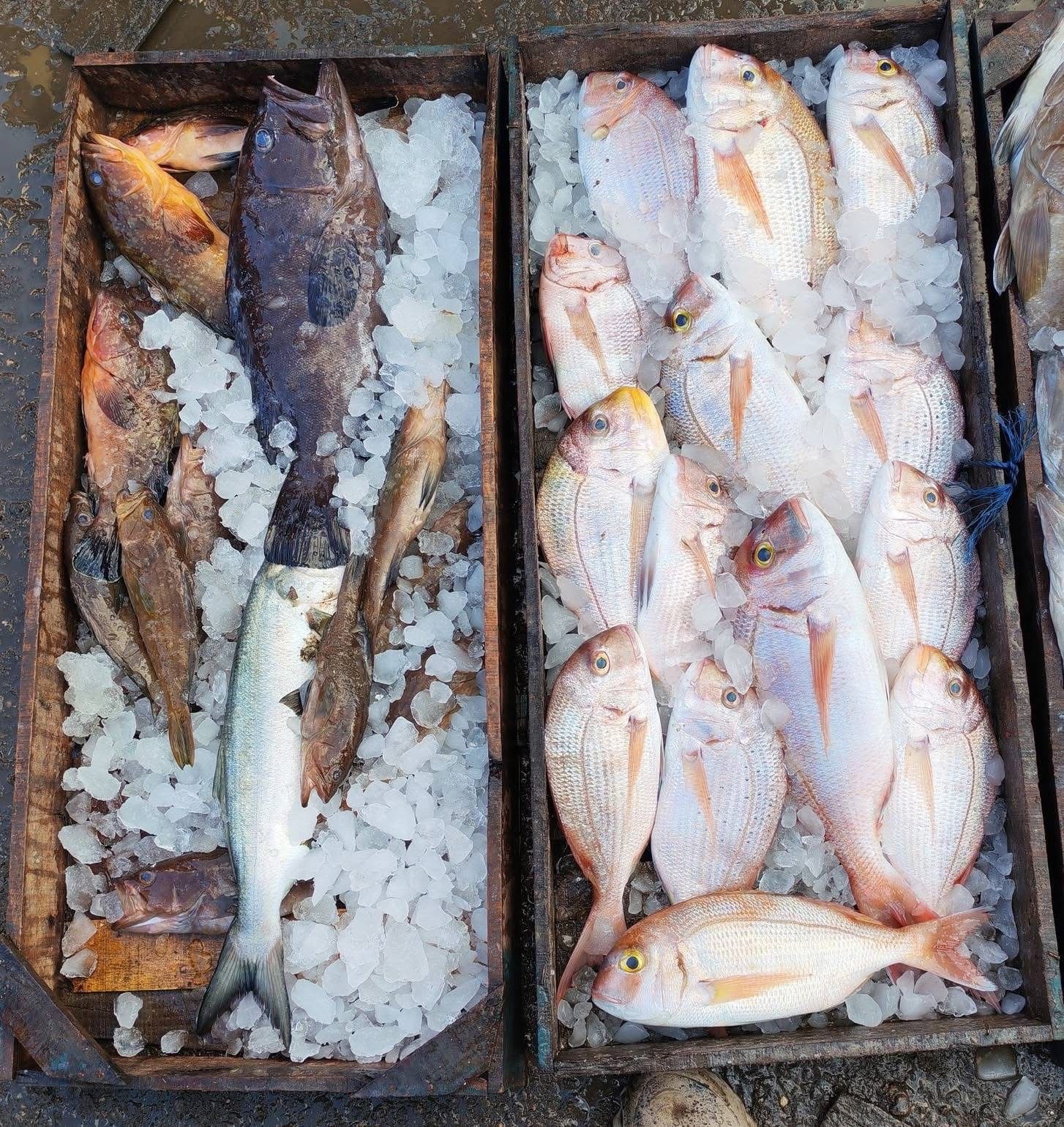 Fishing vessel at sea